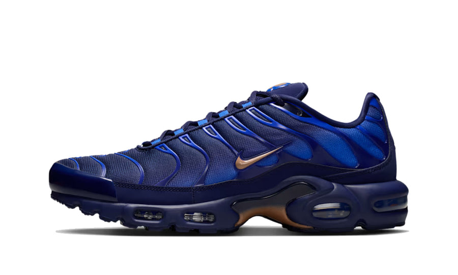 Nike Air Max Plus French Football Federation