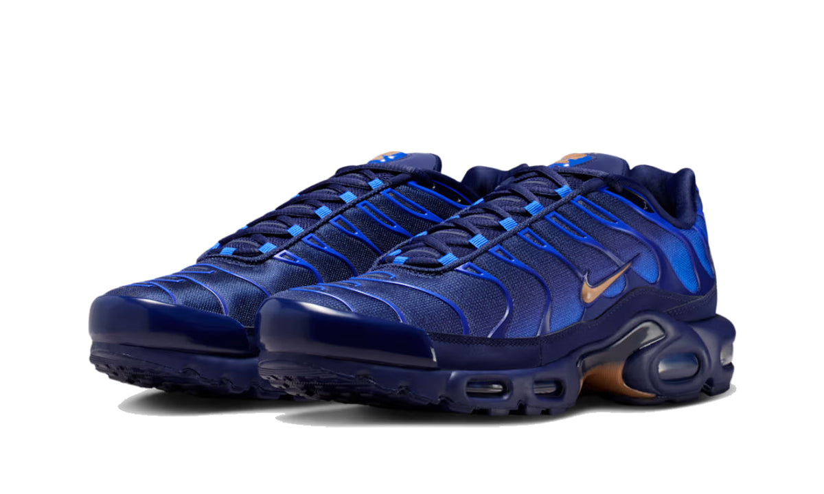 Nike Air Max Plus French Football Federation