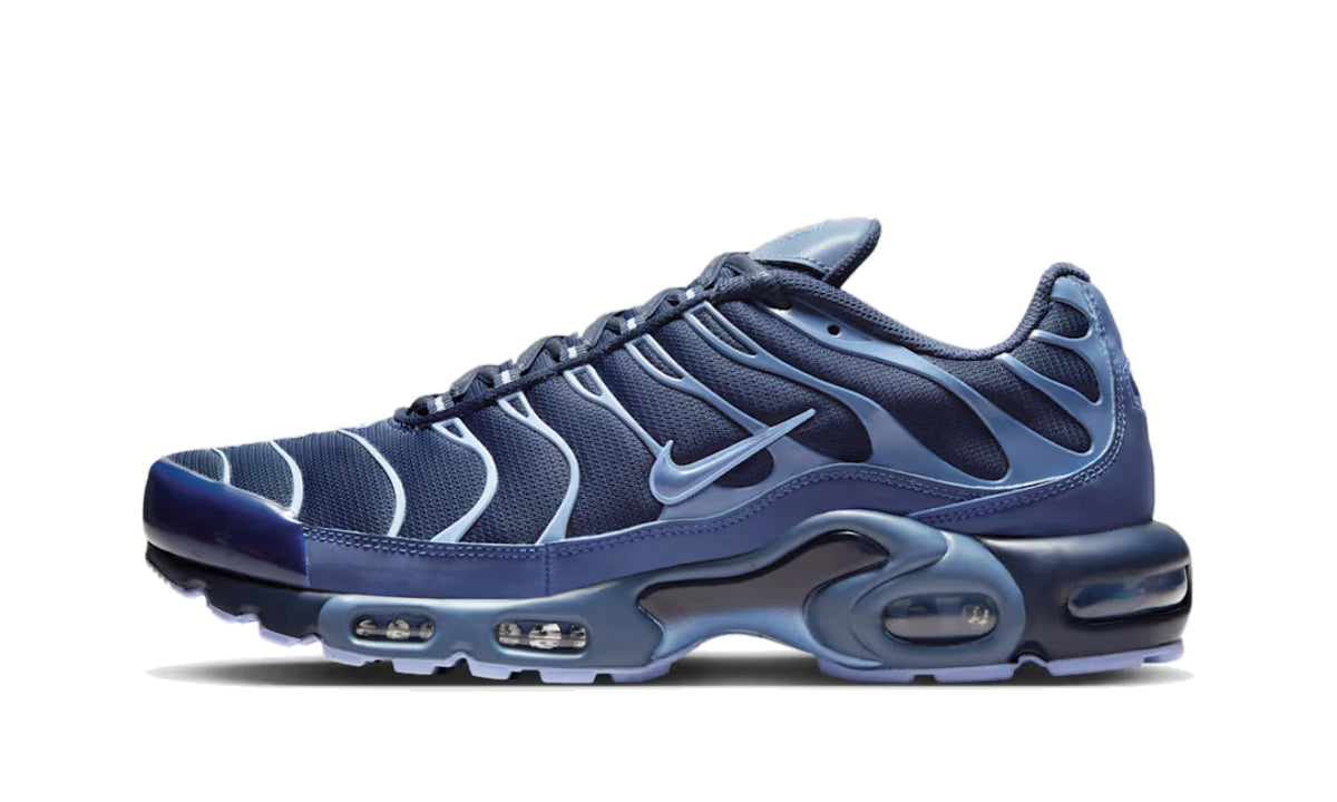 Nike Air Max Plus Obsidian Aluminum