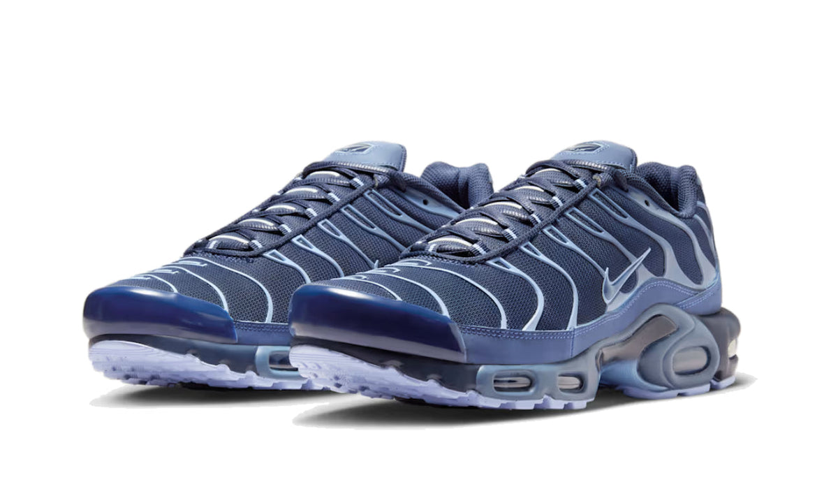 Nike Air Max Plus Obsidian Aluminum