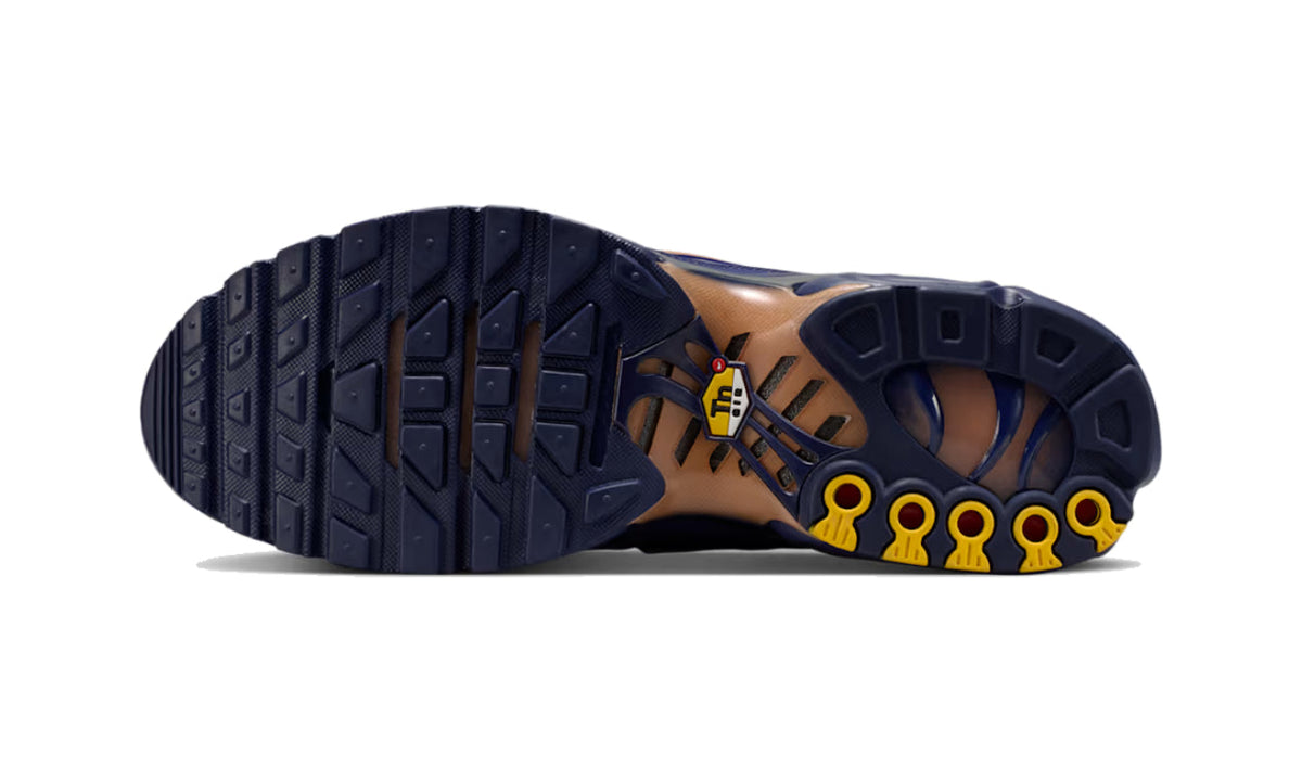 Nike Air Max Plus French Football Federation